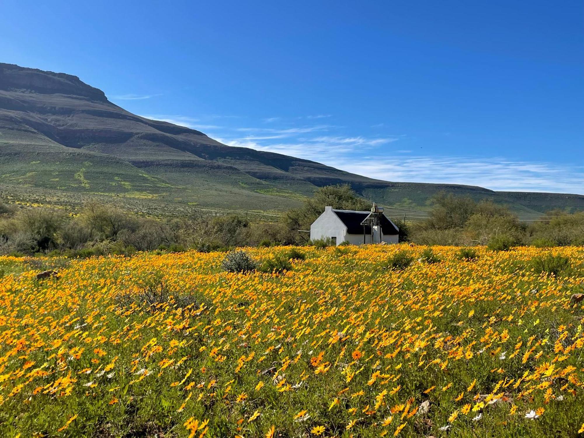 Enjo Nature Farm Clanwilliam Kültér fotó