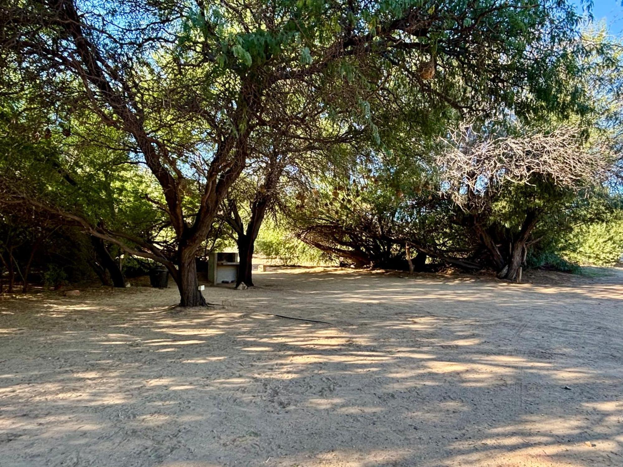 Enjo Nature Farm Clanwilliam Kültér fotó