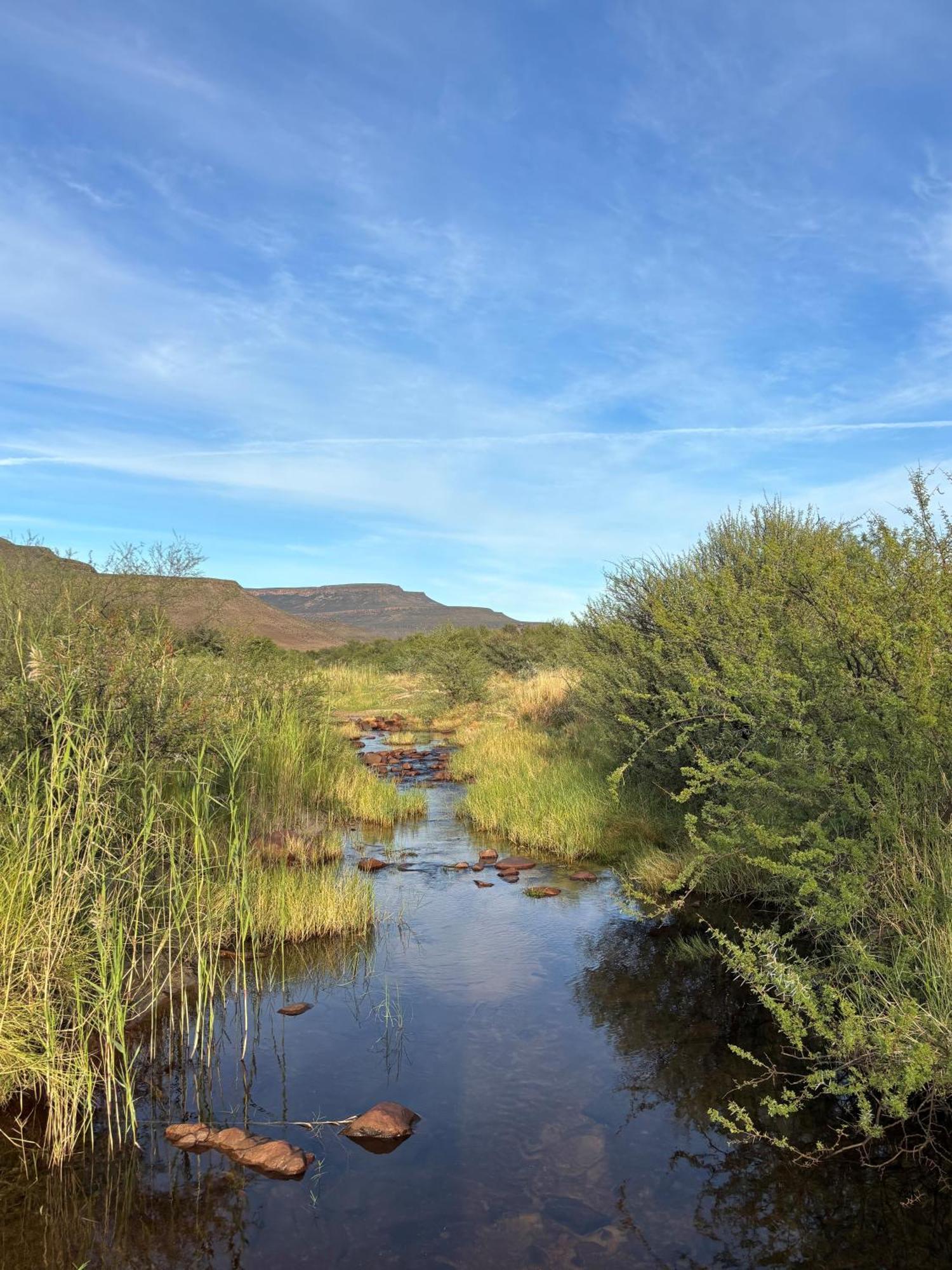 Enjo Nature Farm Clanwilliam Kültér fotó