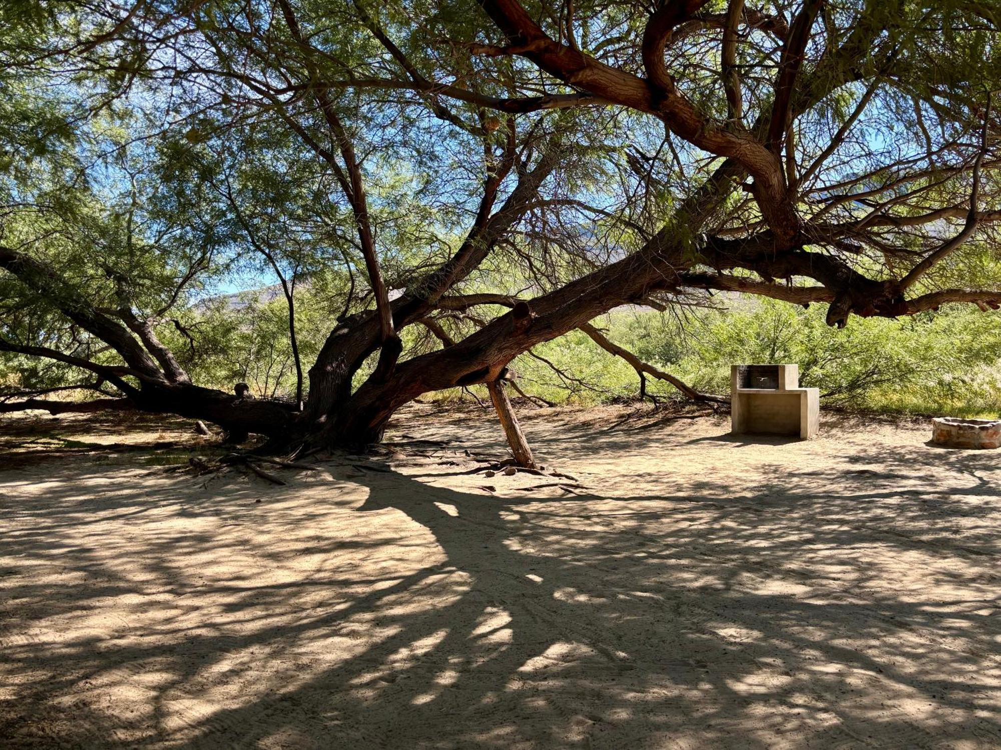 Enjo Nature Farm Clanwilliam Kültér fotó