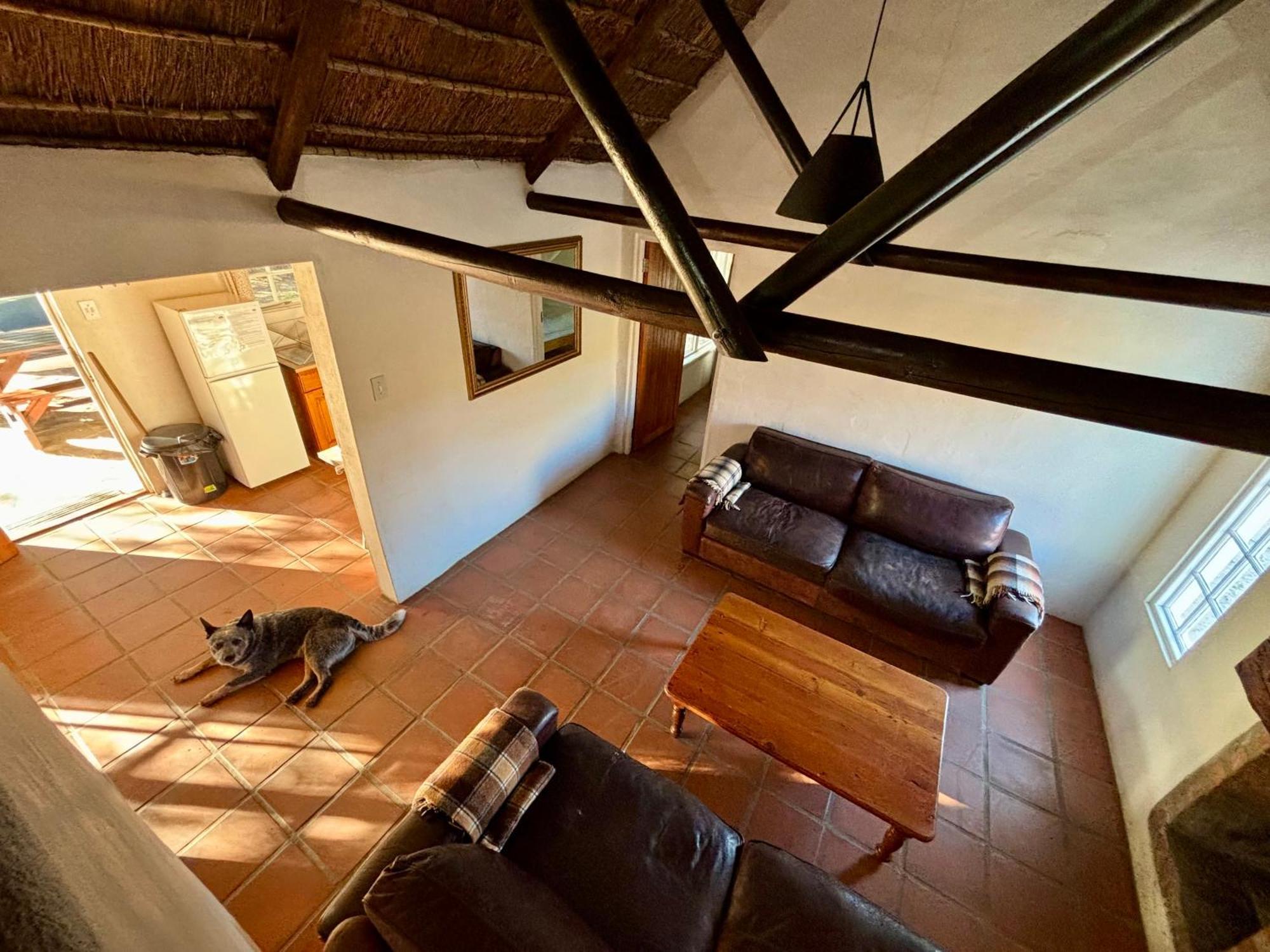 Enjo Nature Farm Clanwilliam Kültér fotó